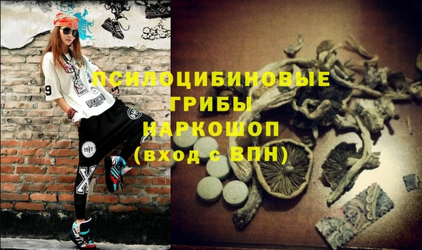 соль курить ск Медвежьегорск