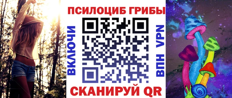 Купить Менделеевск Галлюциногенные грибы Psilocybe